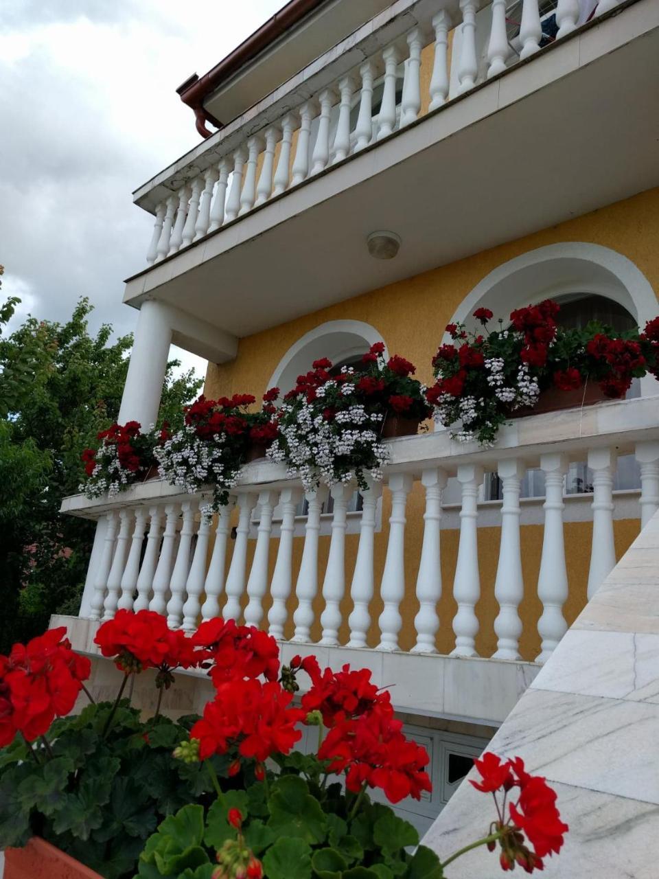 Casa Monica Hotel Băile Felix Exterior foto